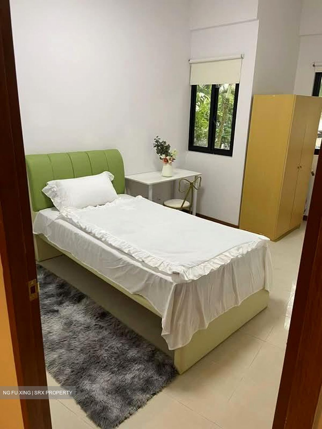 Nouvelle Park (D19), Condominium #589281251